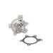 Engine Water Pump Dayco DP347