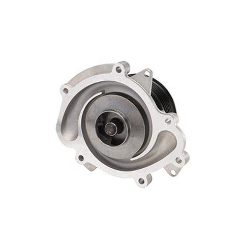 Engine Water Pump Dayco DP354
