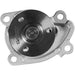 Engine Water Pump Dayco DP359