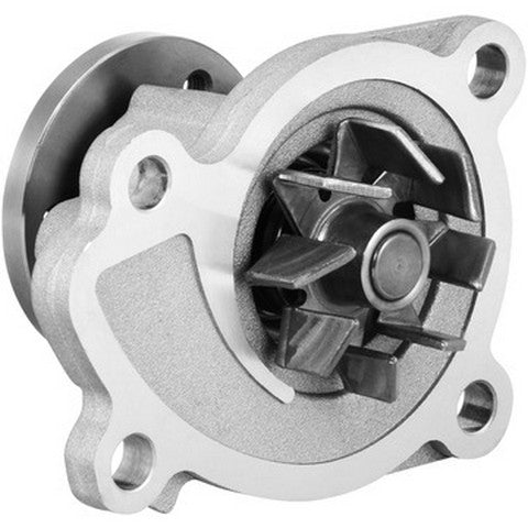 Engine Water Pump Dayco DP359