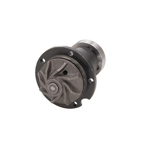 Engine Water Pump Dayco DP421
