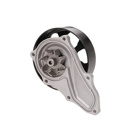 Engine Water Pump Dayco DP462