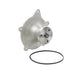 Engine Water Pump Dayco DP542
