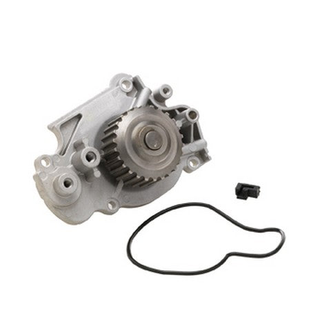 Engine Water Pump Dayco DP556
