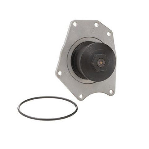 Engine Water Pump Dayco DP595