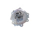 Engine Water Pump Dayco DP623