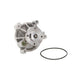 Engine Water Pump Dayco DP803