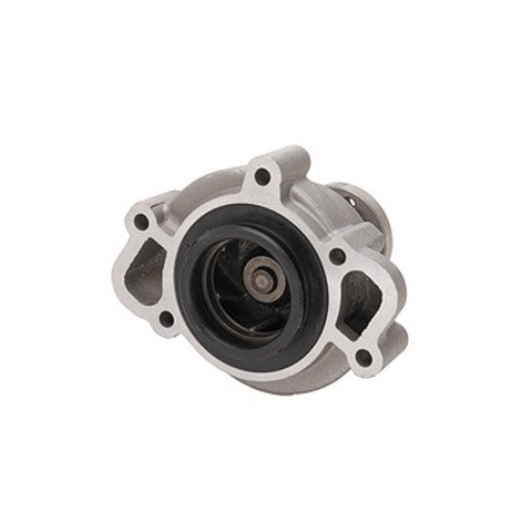 Engine Water Pump Dayco DP804