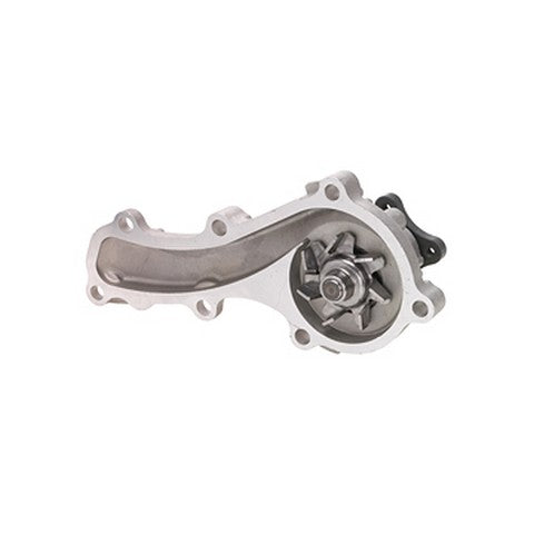 Engine Water Pump Dayco DP805