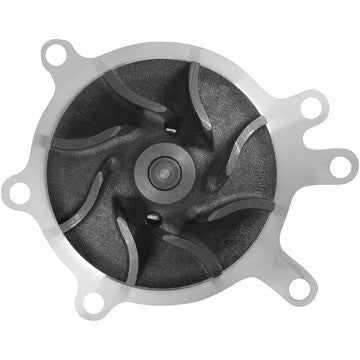 Engine Water Pump Dayco DP807