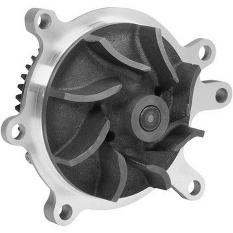 Engine Water Pump Dayco DP807BH