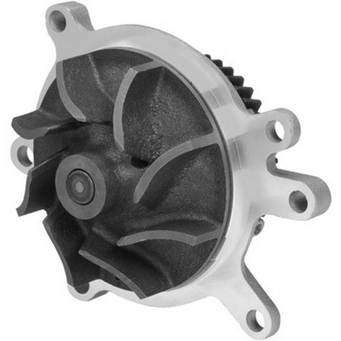 Engine Water Pump Dayco DP807BH