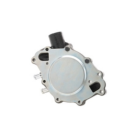 Engine Water Pump Dayco DP8101