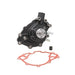 Engine Water Pump Dayco DP8101