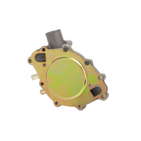 Engine Water Pump Dayco DP810