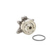 Engine Water Pump Dayco DP813