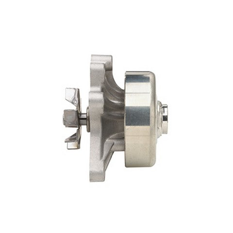 Engine Water Pump Dayco DP813