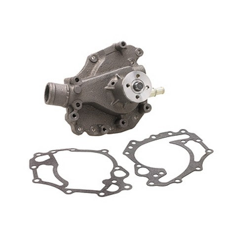 Engine Water Pump Dayco DP815