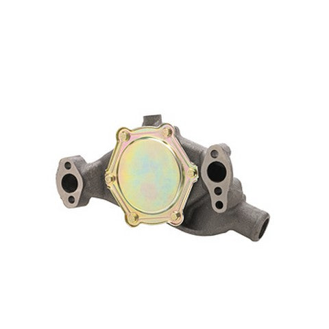 Engine Water Pump Dayco DP829