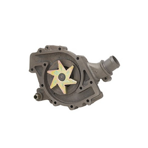 Engine Water Pump Dayco DP830