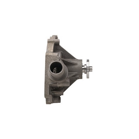Engine Water Pump Dayco DP830