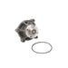 Engine Water Pump Dayco DP833