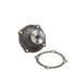 Engine Water Pump Dayco DP839