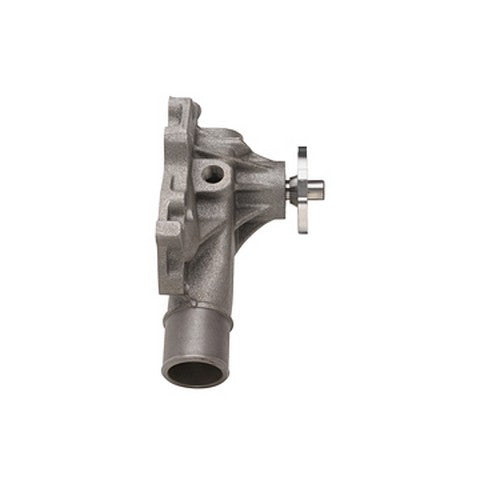Engine Water Pump Dayco DP842