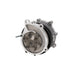 Engine Water Pump Dayco DP850