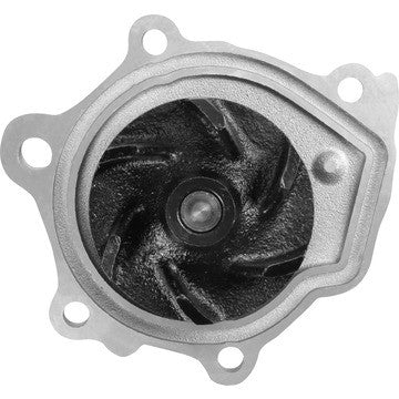 Engine Water Pump Dayco DP872