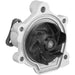 Engine Water Pump Dayco DP872