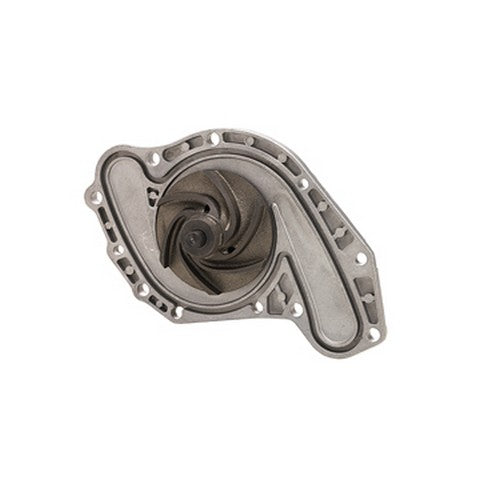 Engine Water Pump Dayco DP906