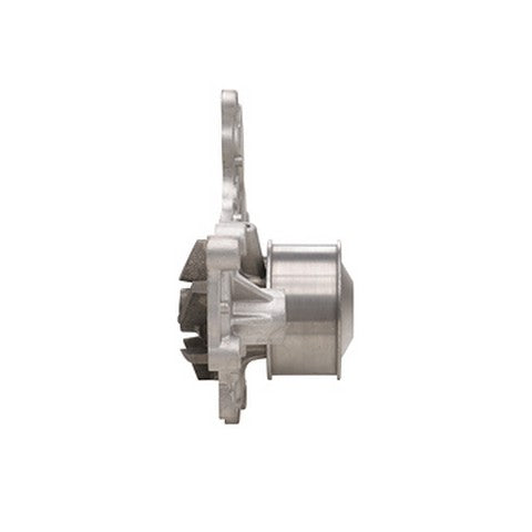 Engine Water Pump Dayco DP919