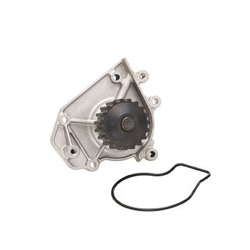 Engine Water Pump Dayco DP924