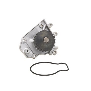 Engine Water Pump Dayco DP949