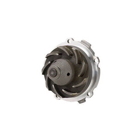 Engine Water Pump Dayco DP960