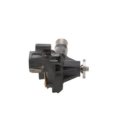 Engine Water Pump Dayco DP9631