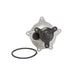 Engine Water Pump Dayco DP969