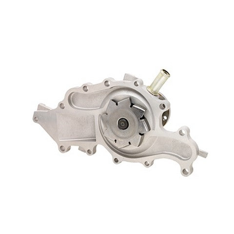 Engine Water Pump Dayco DP971