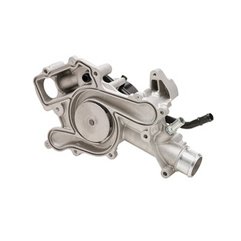 Engine Water Pump Dayco DP977