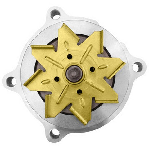 Engine Water Pump Dayco DP980