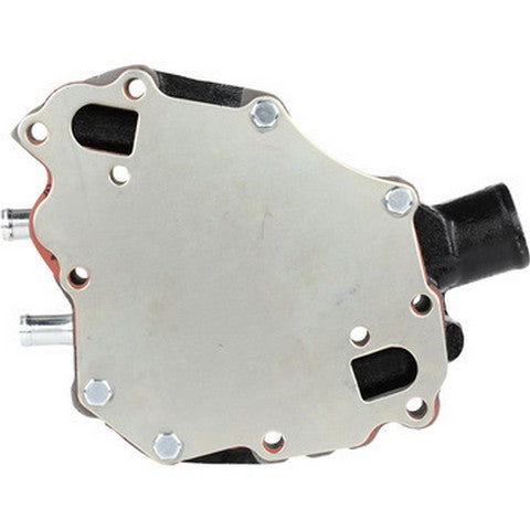 Engine Water Pump Dayco DP991H