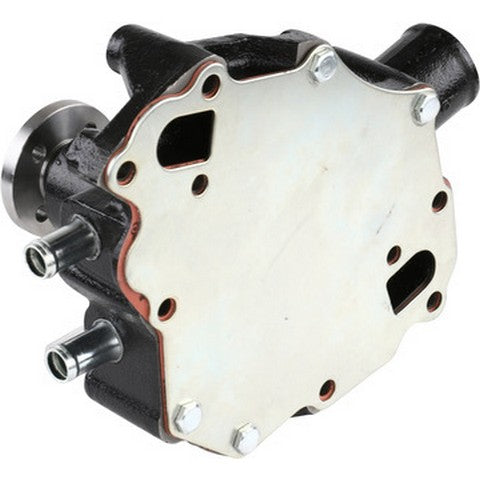 Engine Water Pump Dayco DP991H