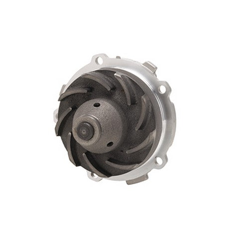 Engine Water Pump Dayco DP994