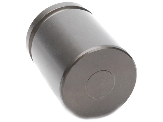 Disc Brake Caliper Piston Raybestos Brakes DPA85168
