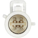 Fuel Pump Module Assembly Airtex Fuel Pumps E2295M