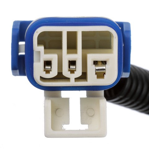 Fuel Pump Module Assembly Airtex Fuel Pumps E3924M