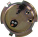 Fuel Pump Hanger Assembly Airtex Fuel Pumps E7073S