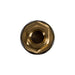 Electric Fuel Pump Airtex Fuel Pumps E8266
