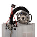 Fuel Pump Module Assembly Airtex Fuel Pumps E8490M